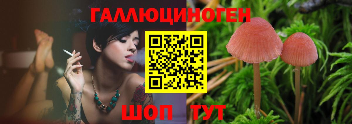 Долгопрудный  Галлюциногенные грибы мухоморы  что такое наркотик  Псилоцибиновые грибы прущие грибы  Вход с VPN 